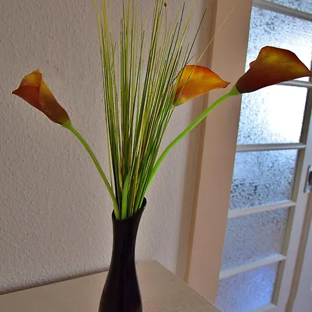 Ferienwohnung Luna Bernkastel-Kues Zewnętrze zdjęcie
